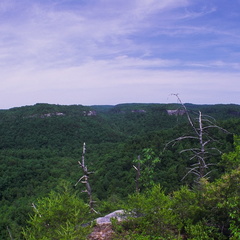 Big South Fork country